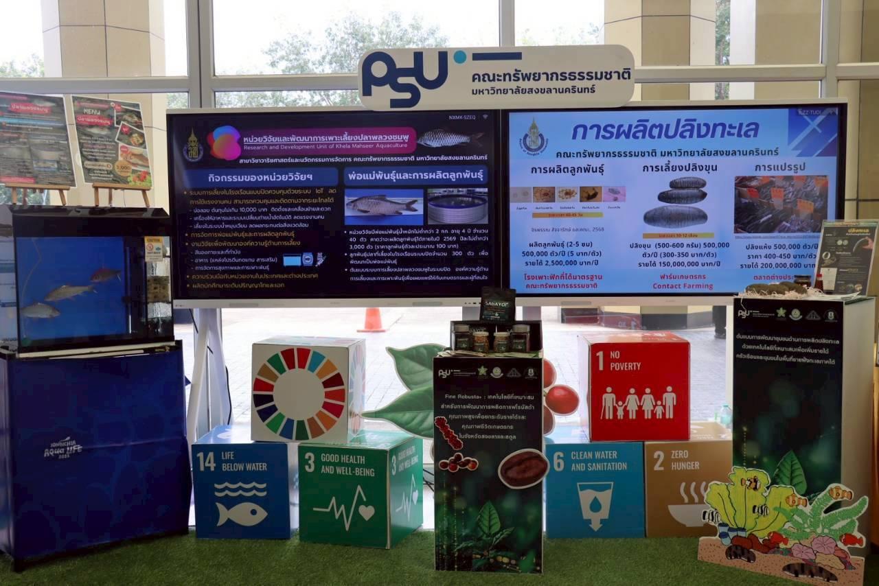 ภาพประกอบที่ 15