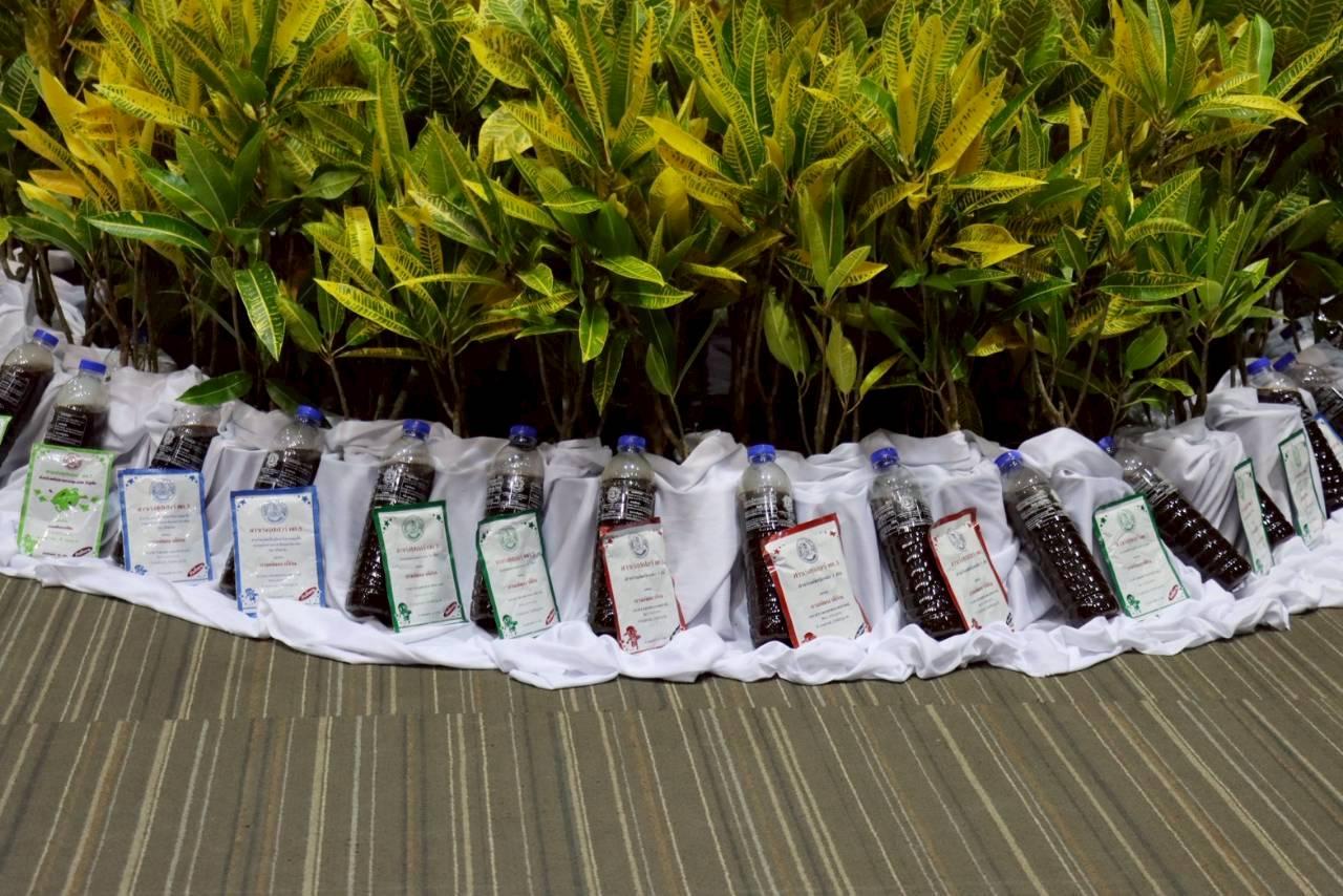 ภาพประกอบที่ 18