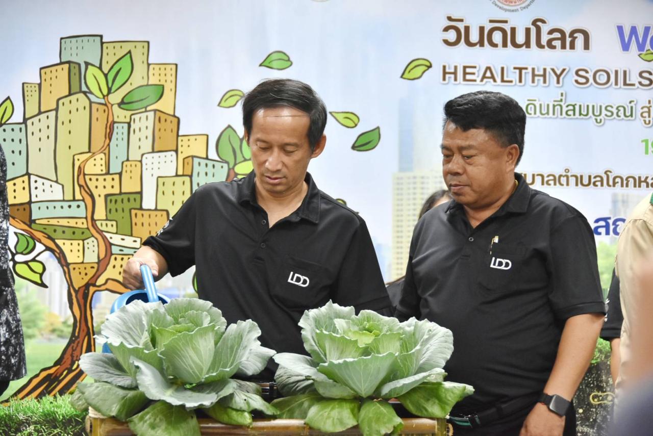 ภาพประกอบที่ 9