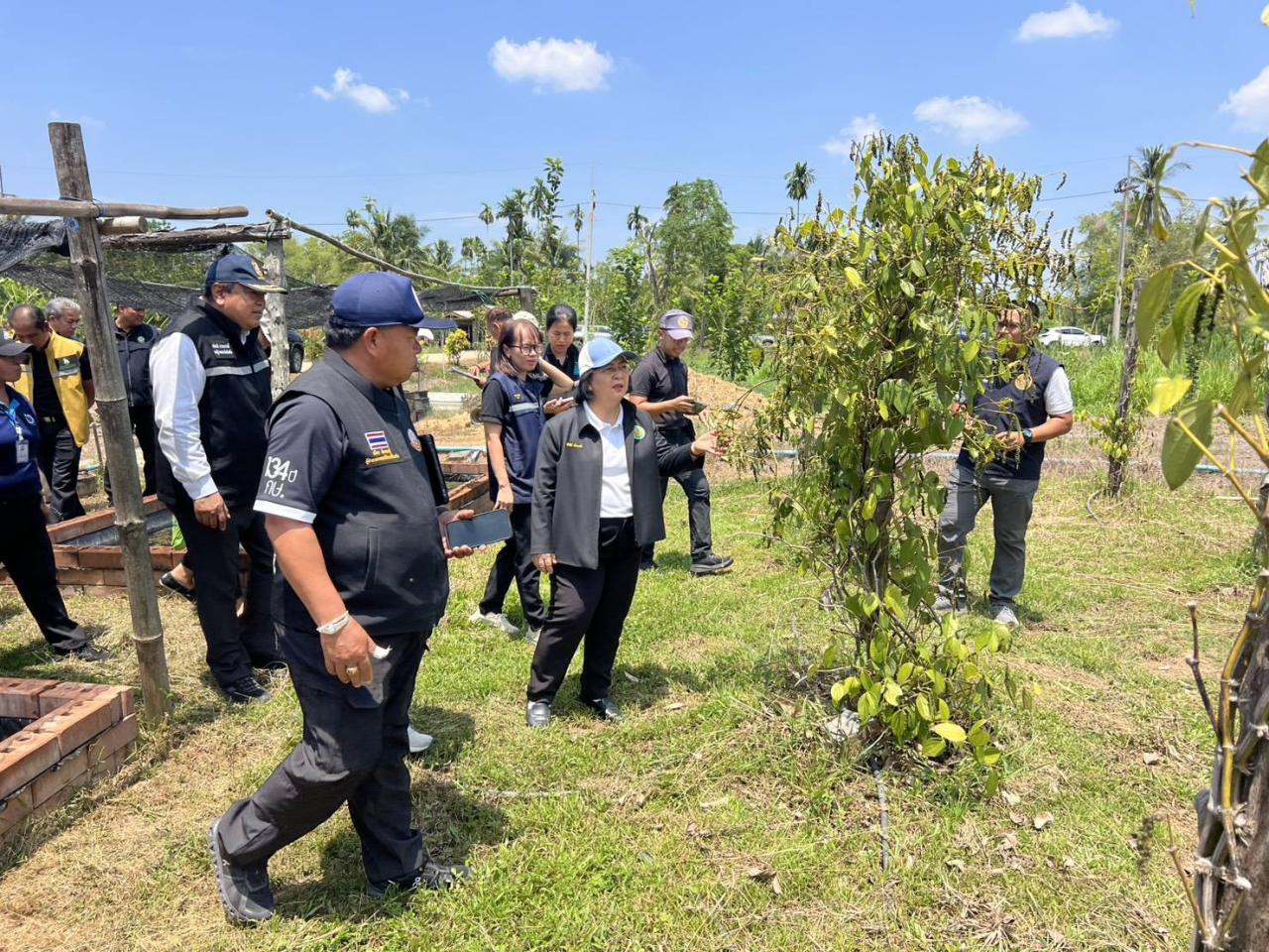 ภาพประกอบที่ 11