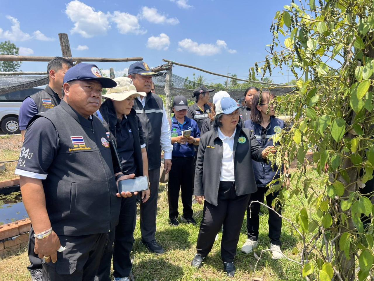 ภาพประกอบที่ 15