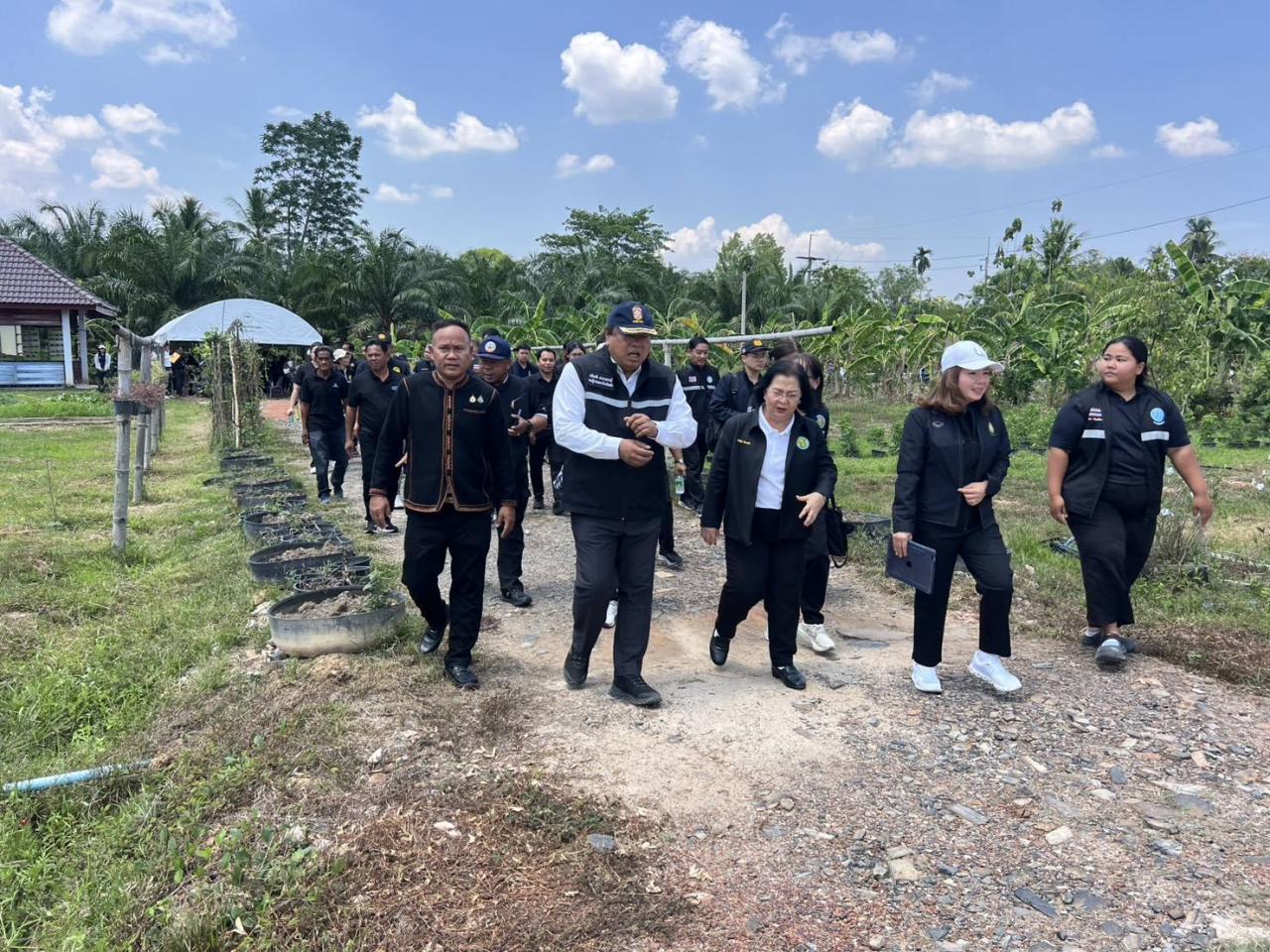 ภาพประกอบที่ 18