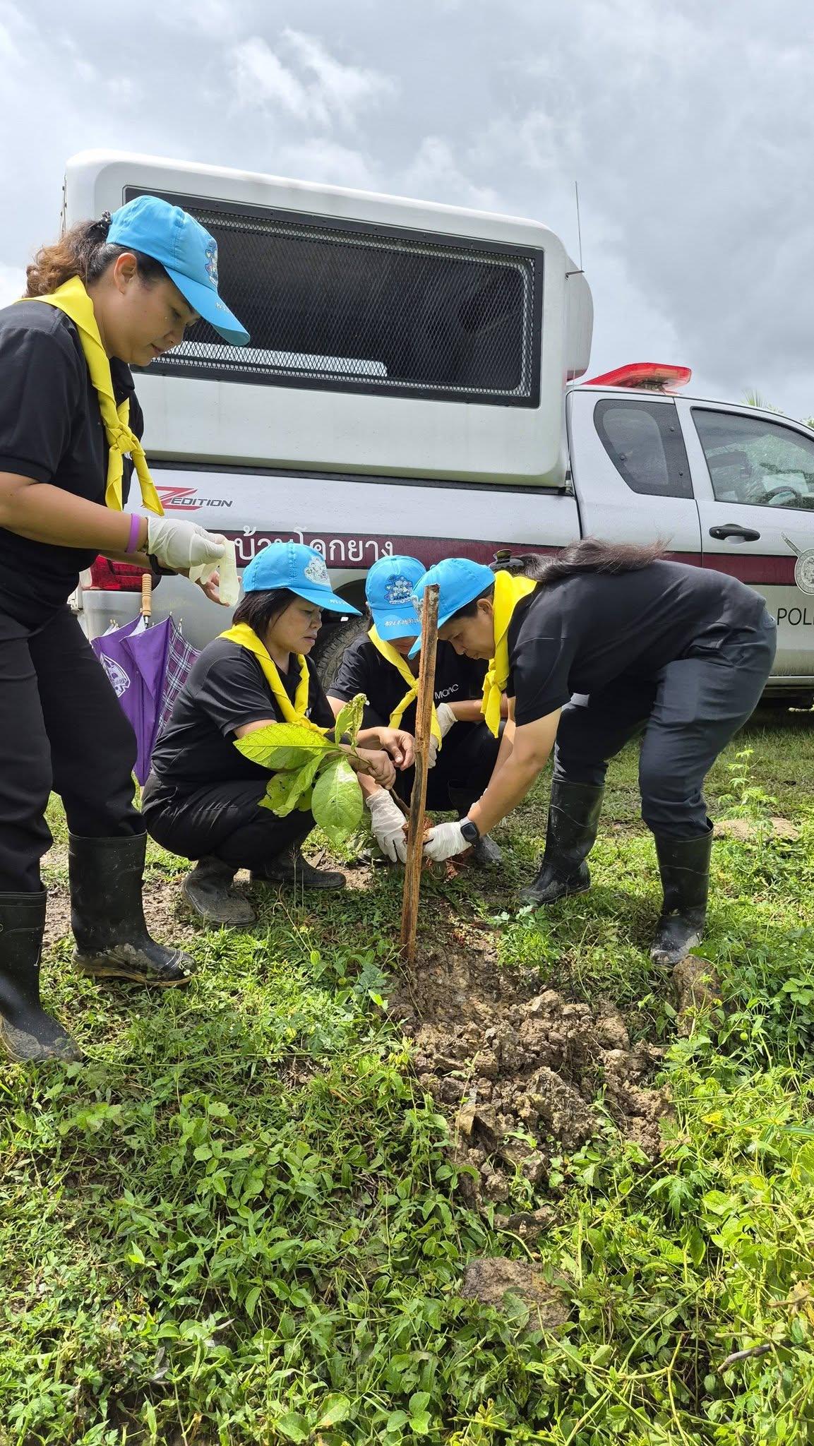 ภาพประกอบที่ 10