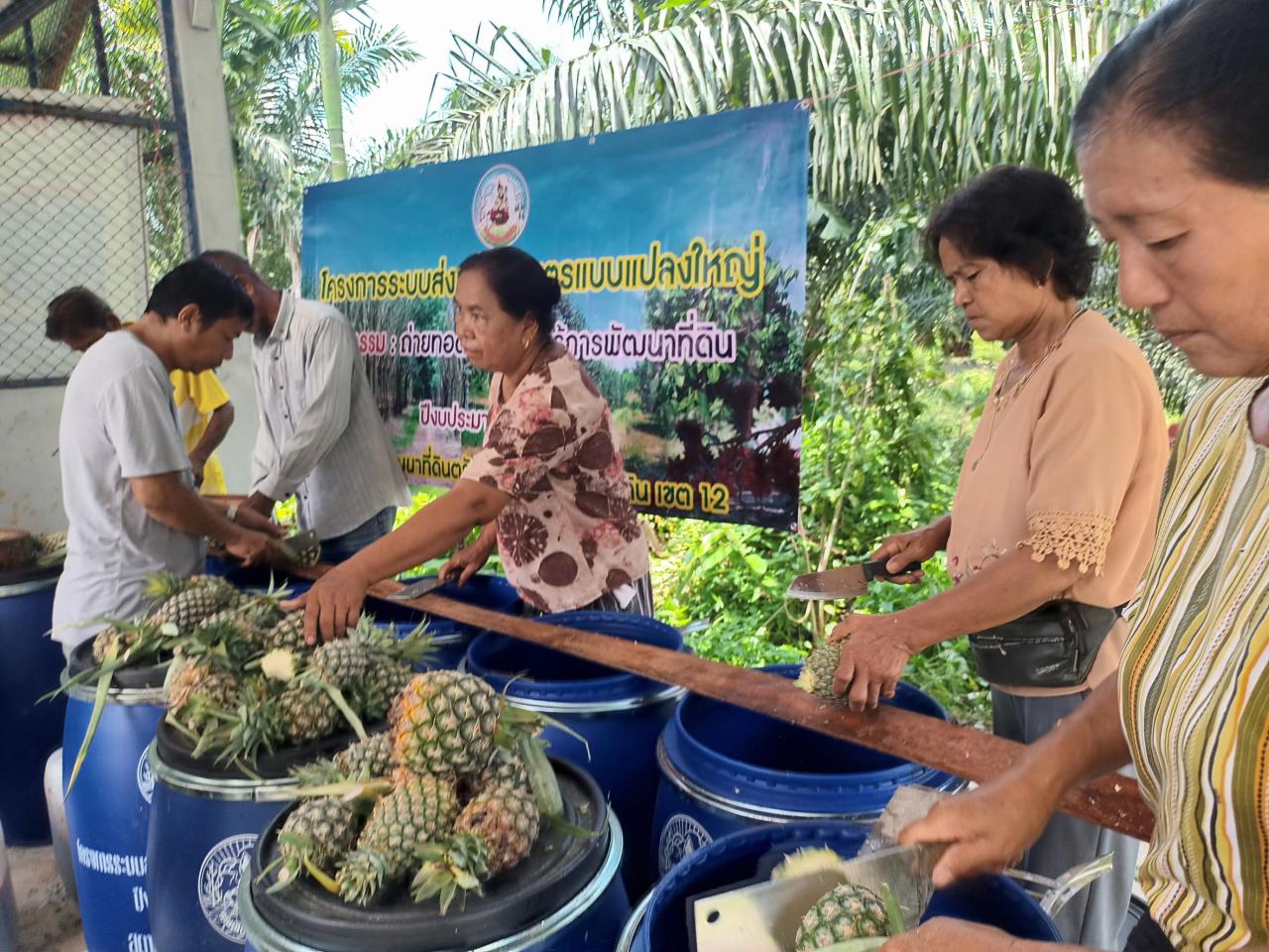 ภาพประกอบที่ 6