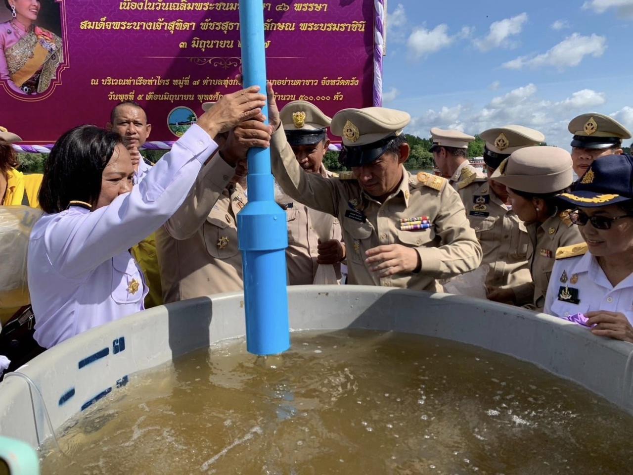 ภาพประกอบที่ 5