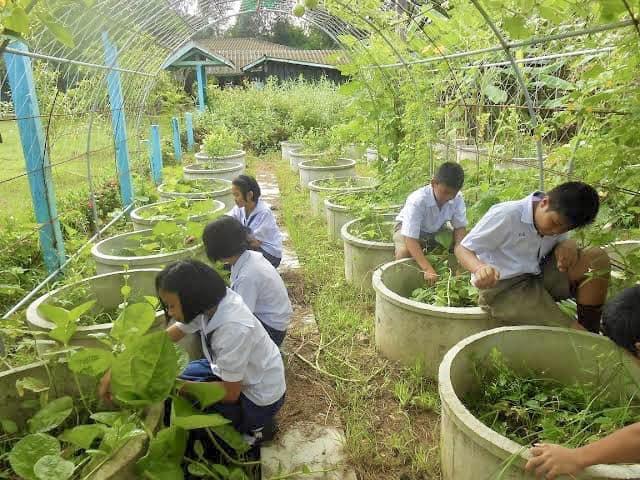 ภาพประกอบที่ 13