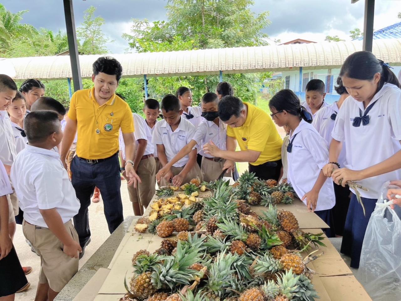 ภาพประกอบที่ 1