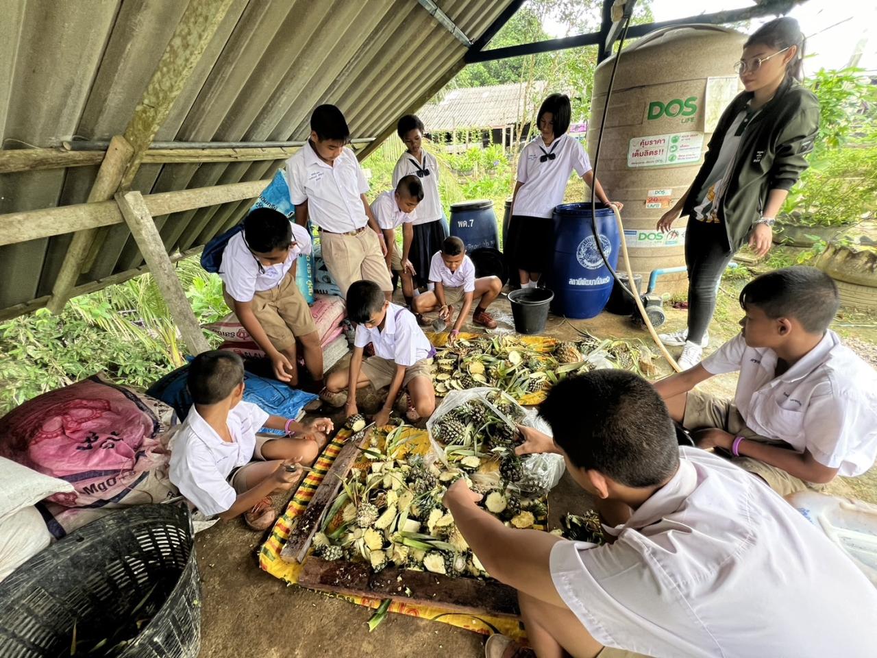 ภาพประกอบที่ 0