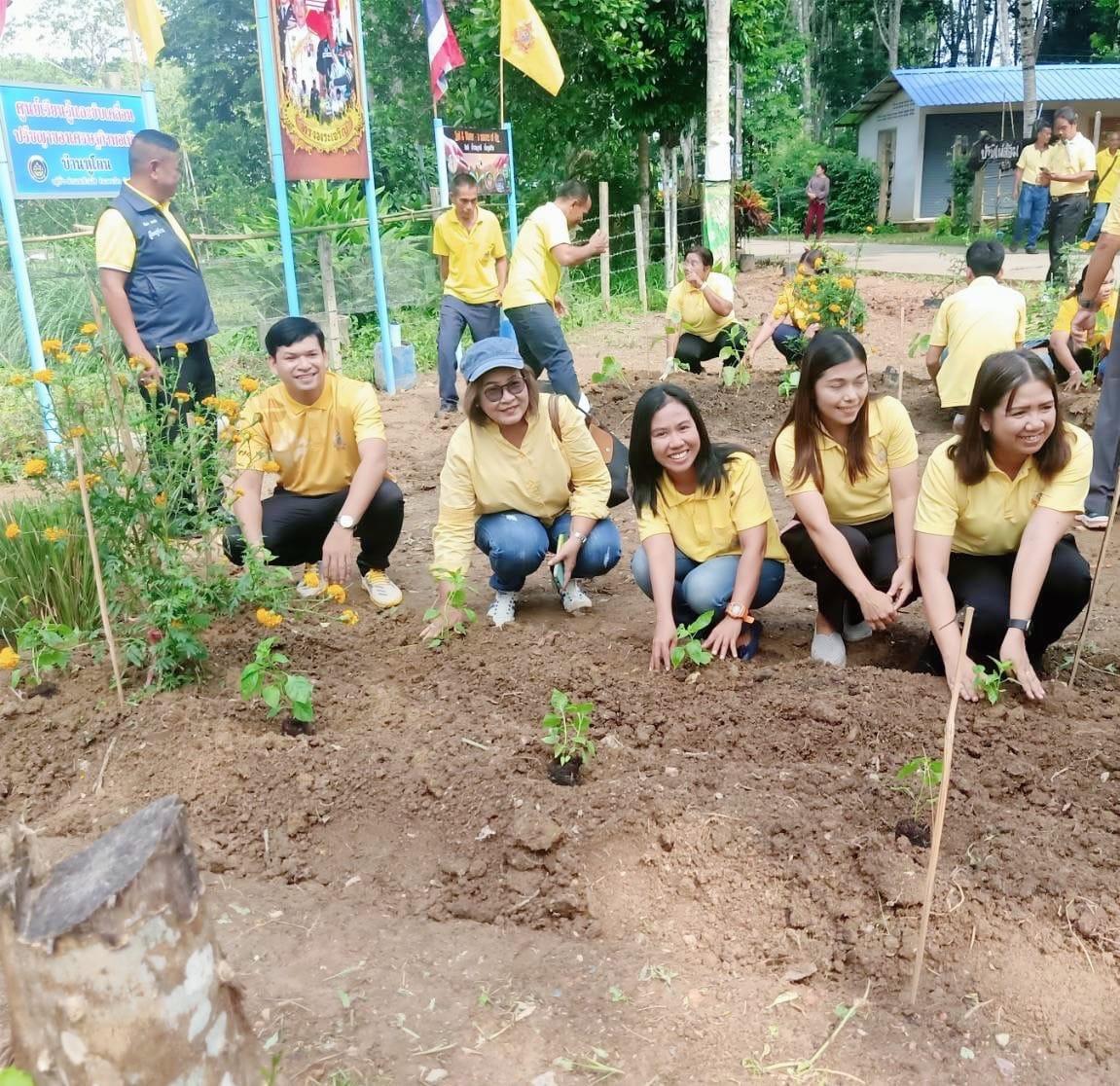 ภาพประกอบที่ 1