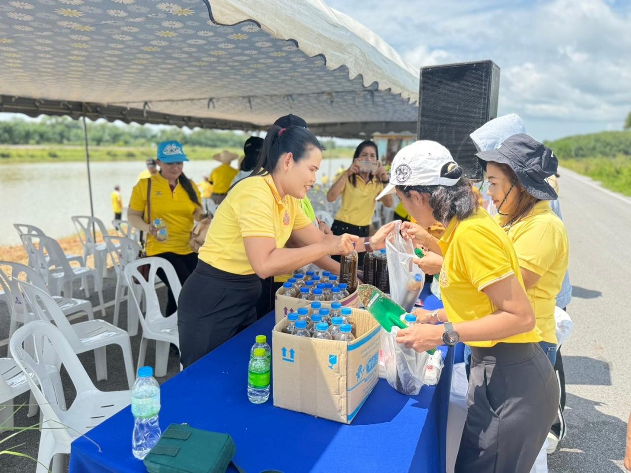 ภาพประกอบที่ 11