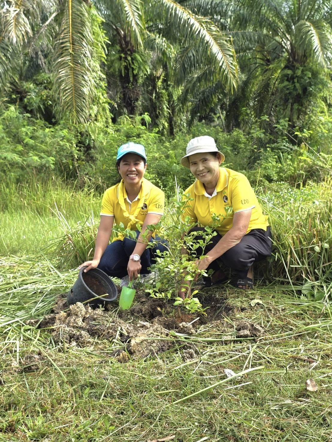 ภาพประกอบที่ 5