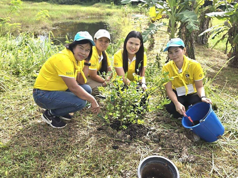 ภาพประกอบที่ 10