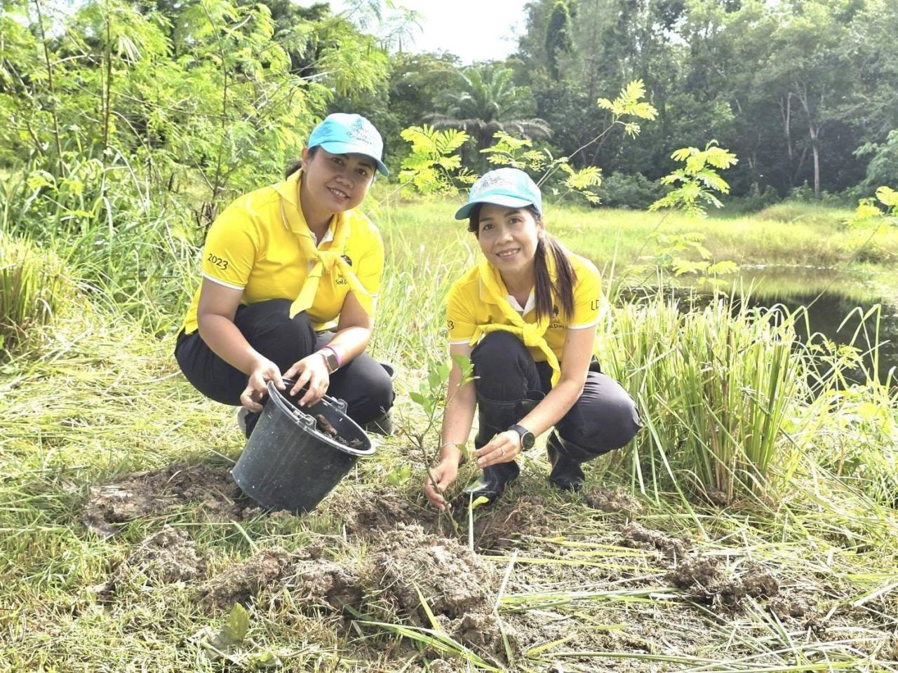 ภาพประกอบที่ 11