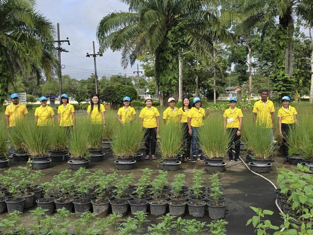 ภาพประกอบที่ 12