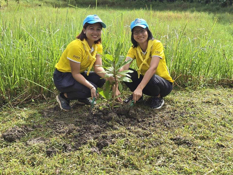 ภาพประกอบที่ 23