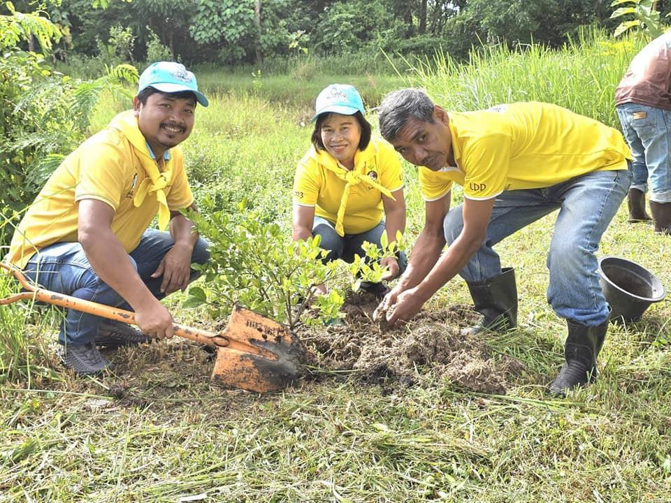 ภาพประกอบที่ 26