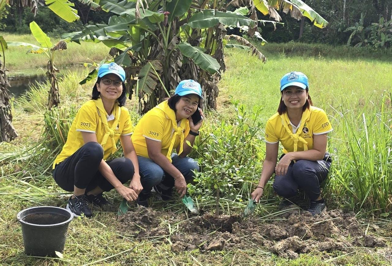 ภาพประกอบที่ 36