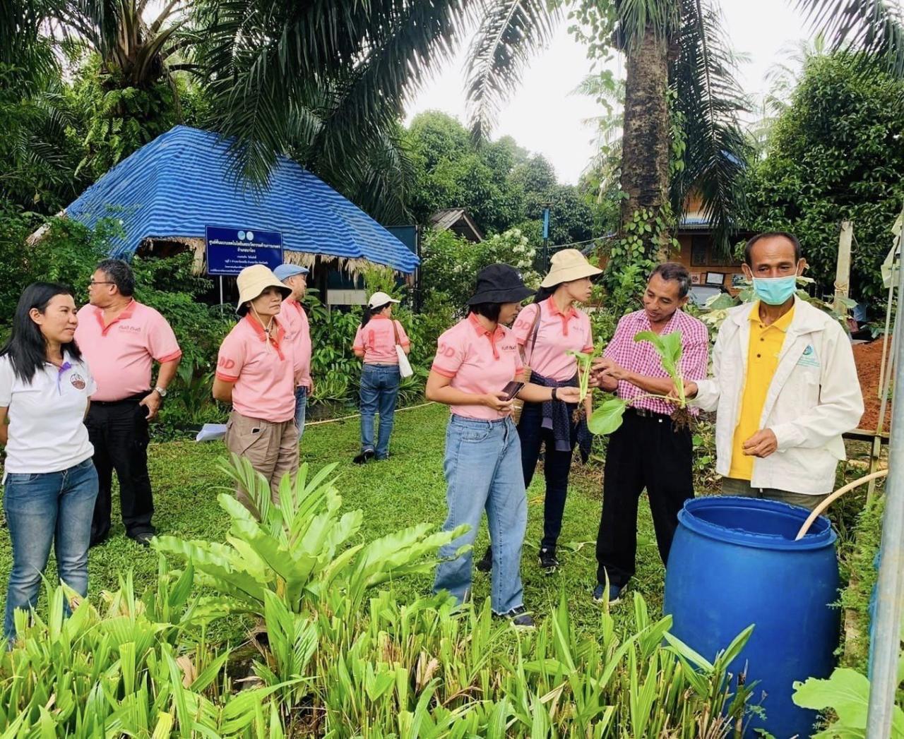 ภาพประกอบที่ 11