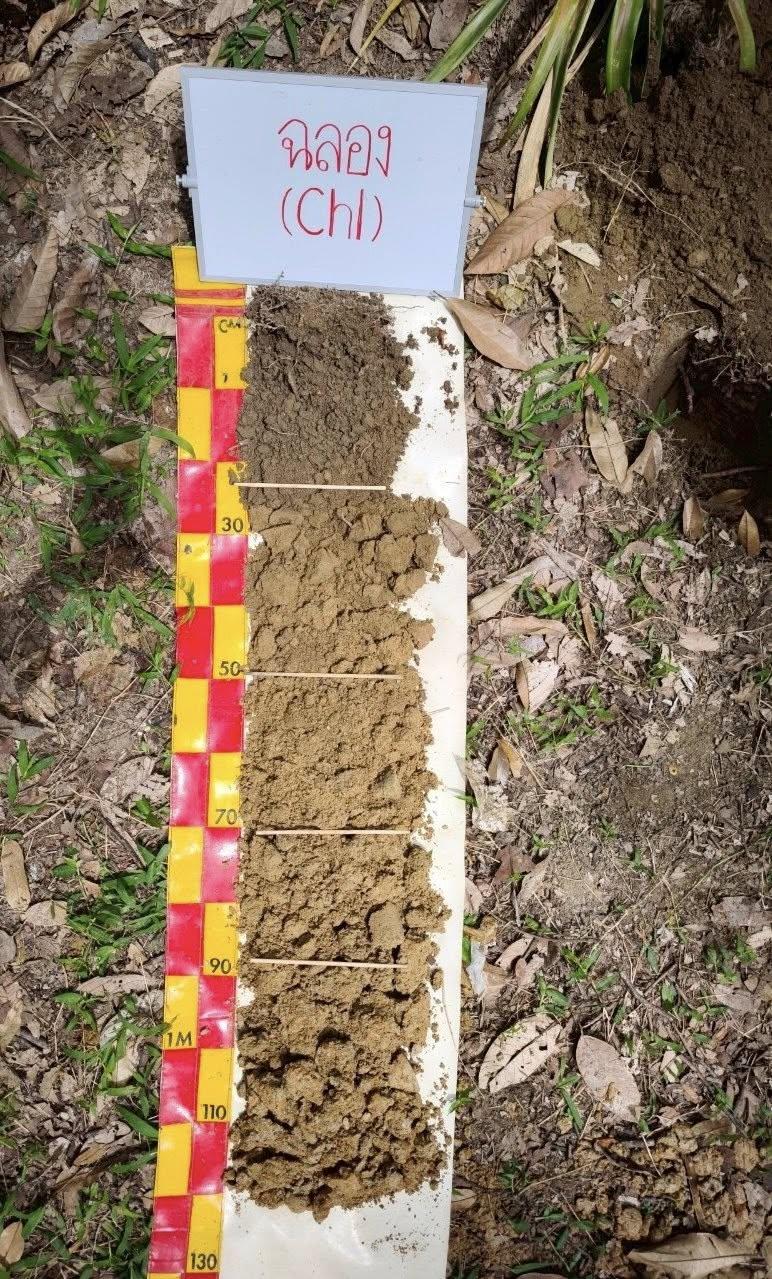 ภาพประกอบที่ 0