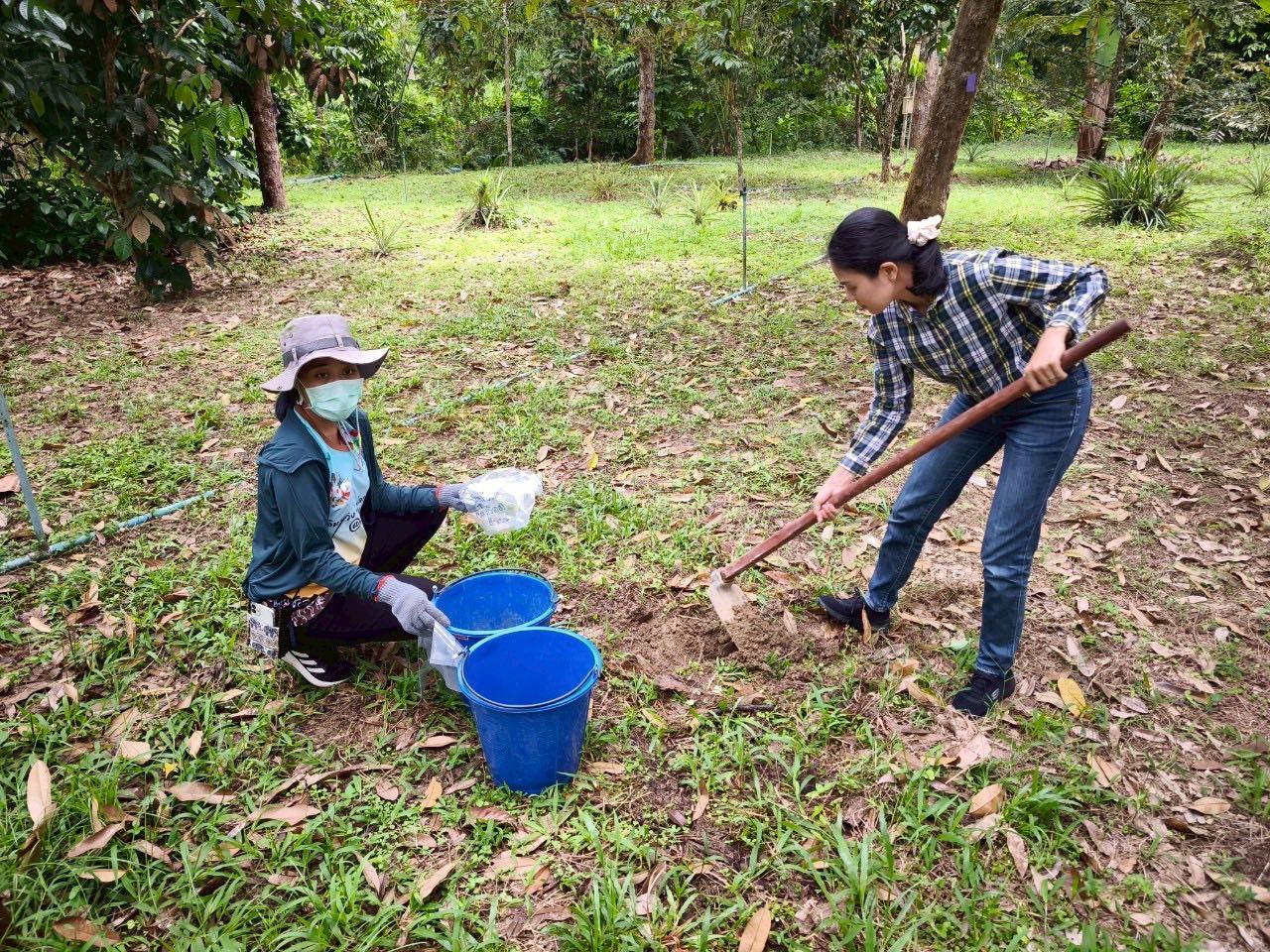 ภาพประกอบที่ 1