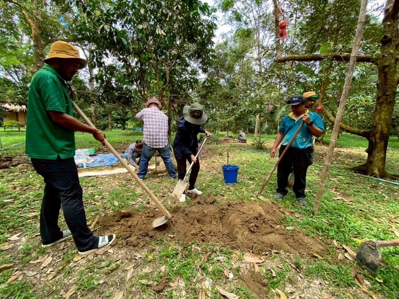 ภาพประกอบที่ 2
