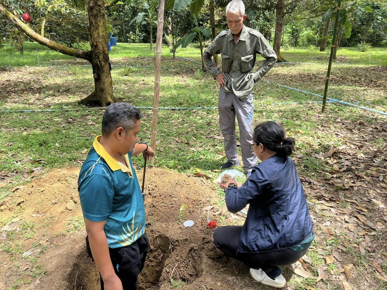ภาพประกอบที่ 5
