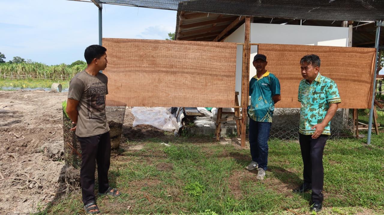 ภาพประกอบที่ 2