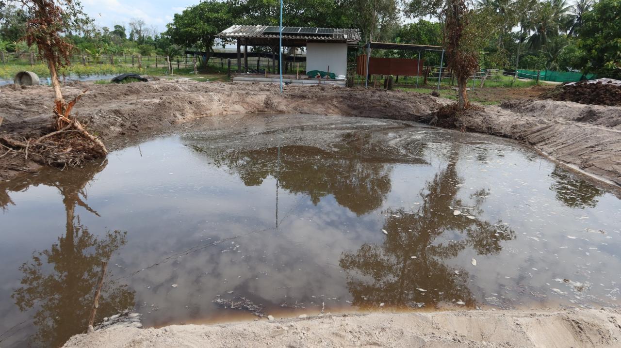 ภาพประกอบที่ 9