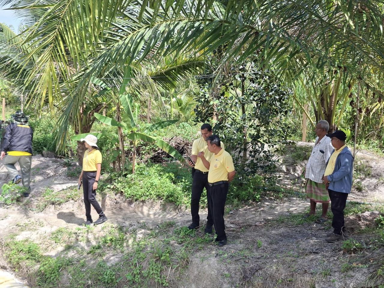 ภาพประกอบที่ 11