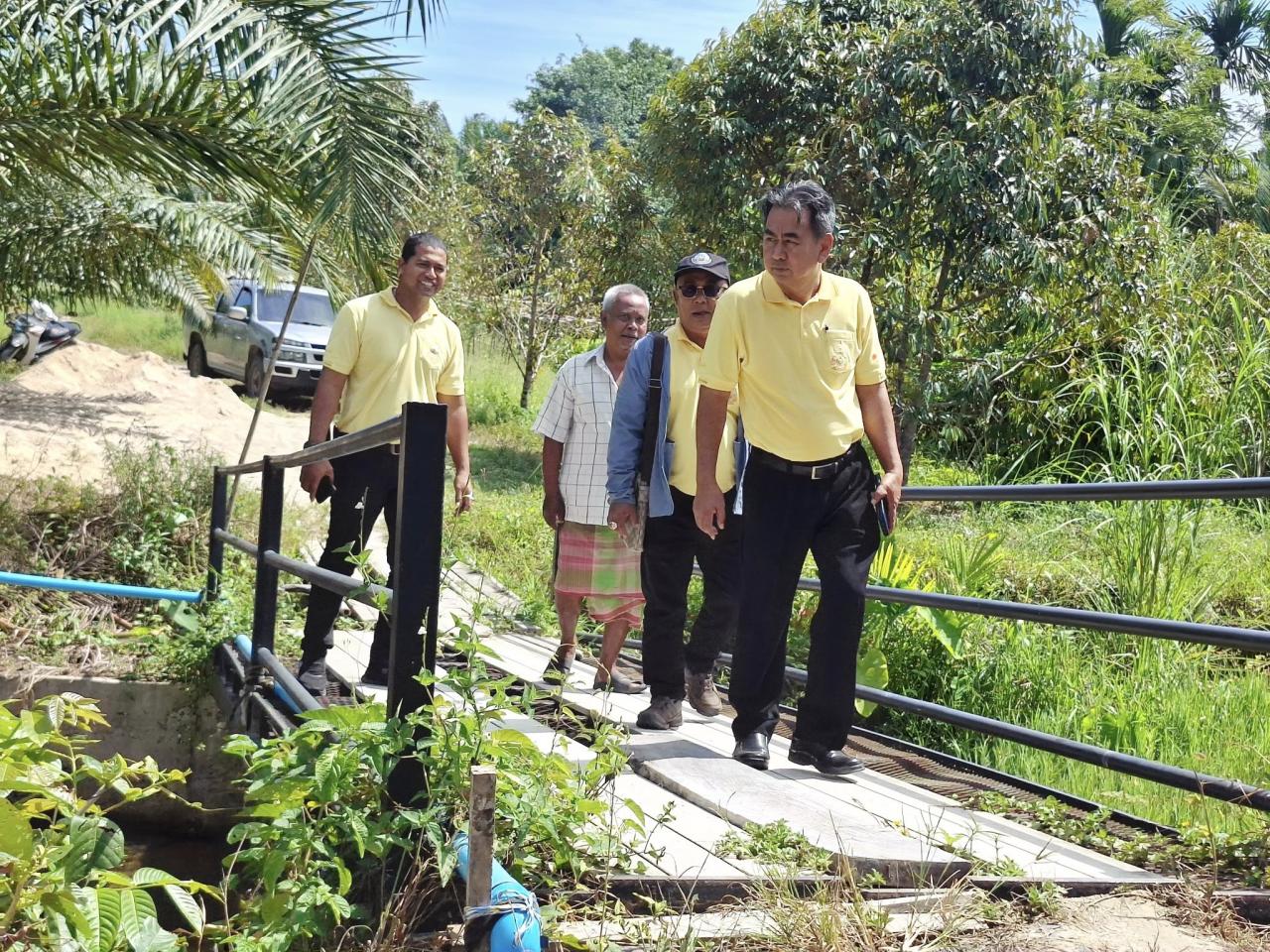 ภาพประกอบที่ 13