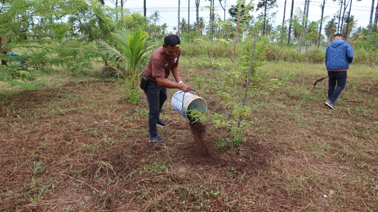 ภาพประกอบที่ 5