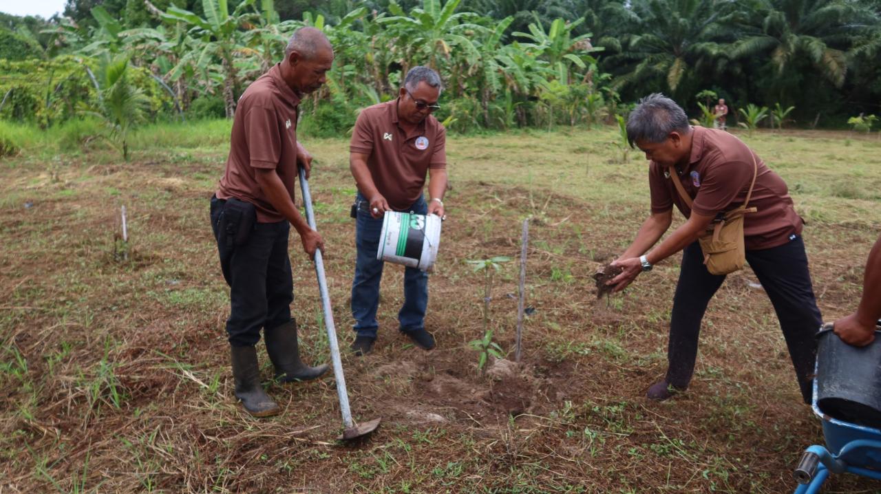 ภาพประกอบที่ 8