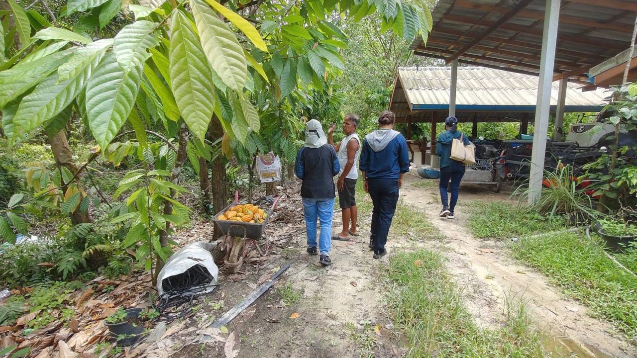 ภาพประกอบที่ 4