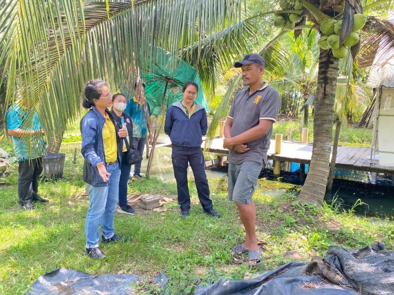 ภาพประกอบที่ 5