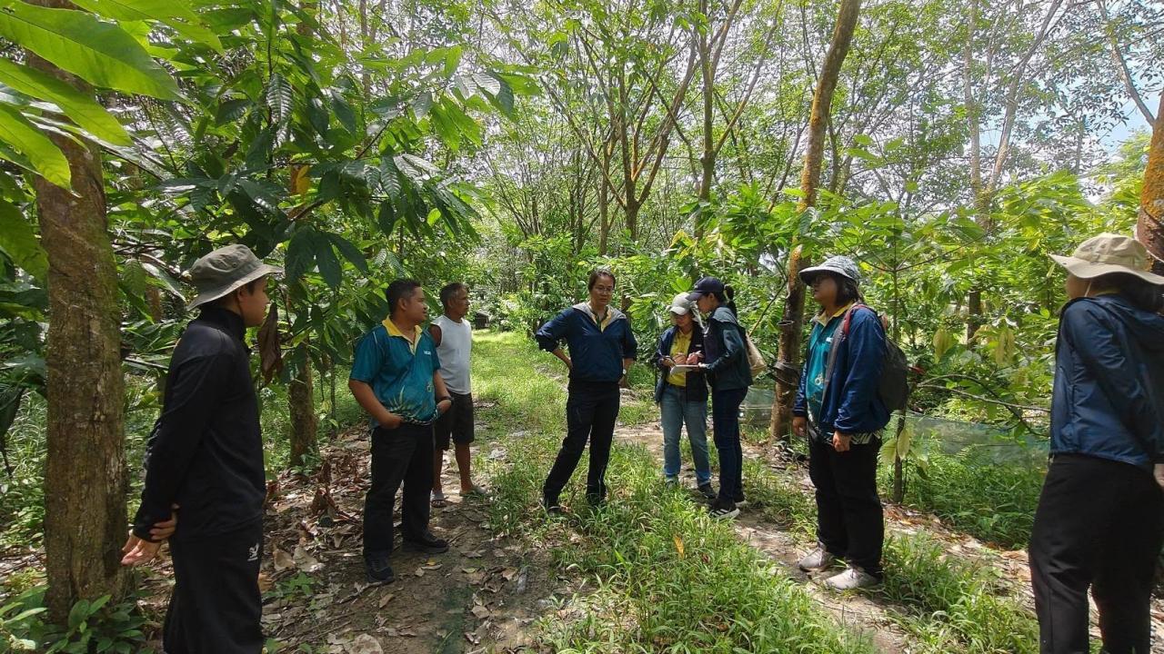 ภาพประกอบที่ 6