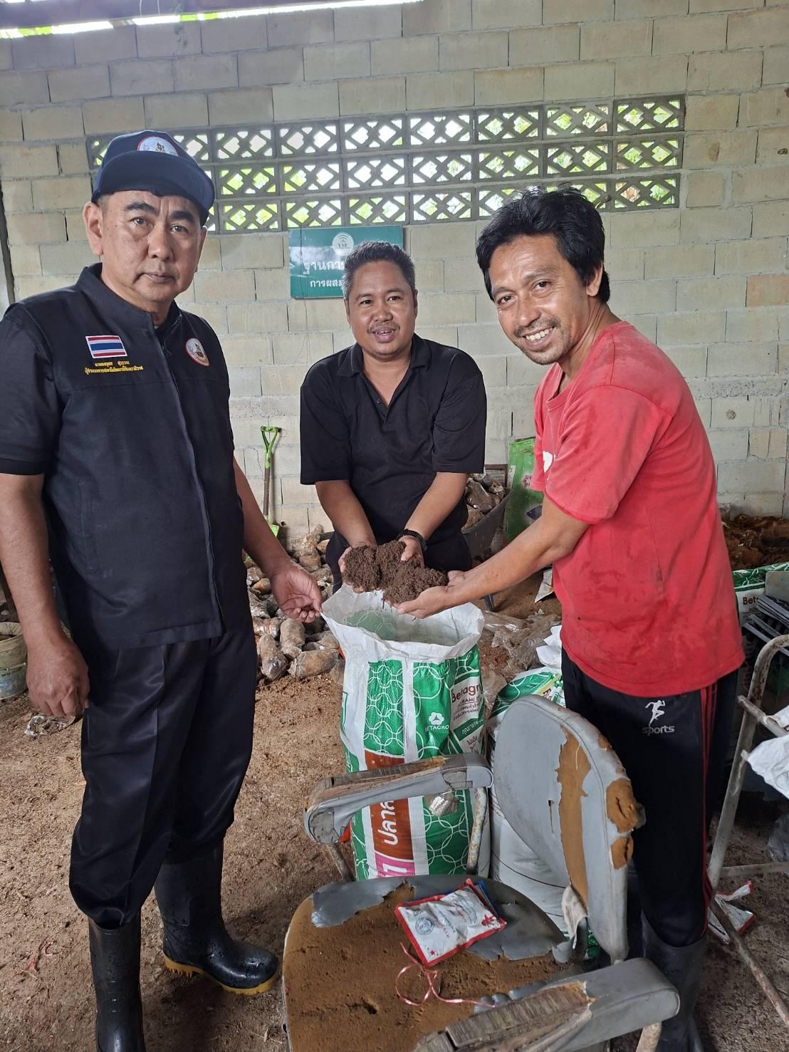 ภาพประกอบที่ 3