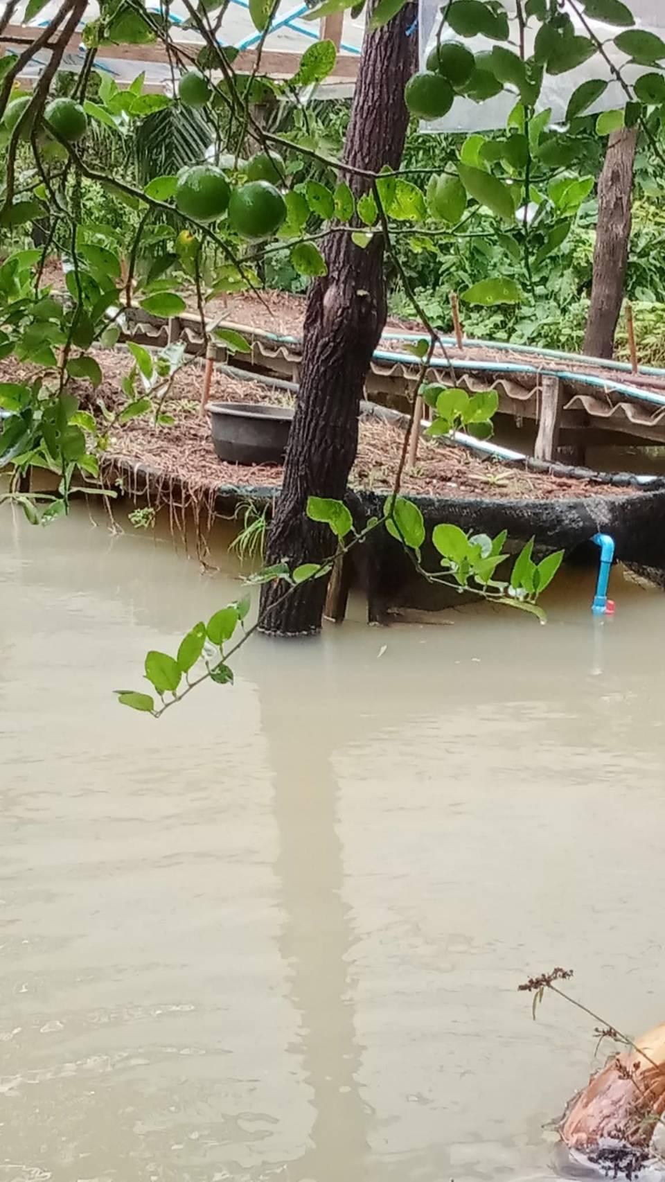 ภาพประกอบที่ 5