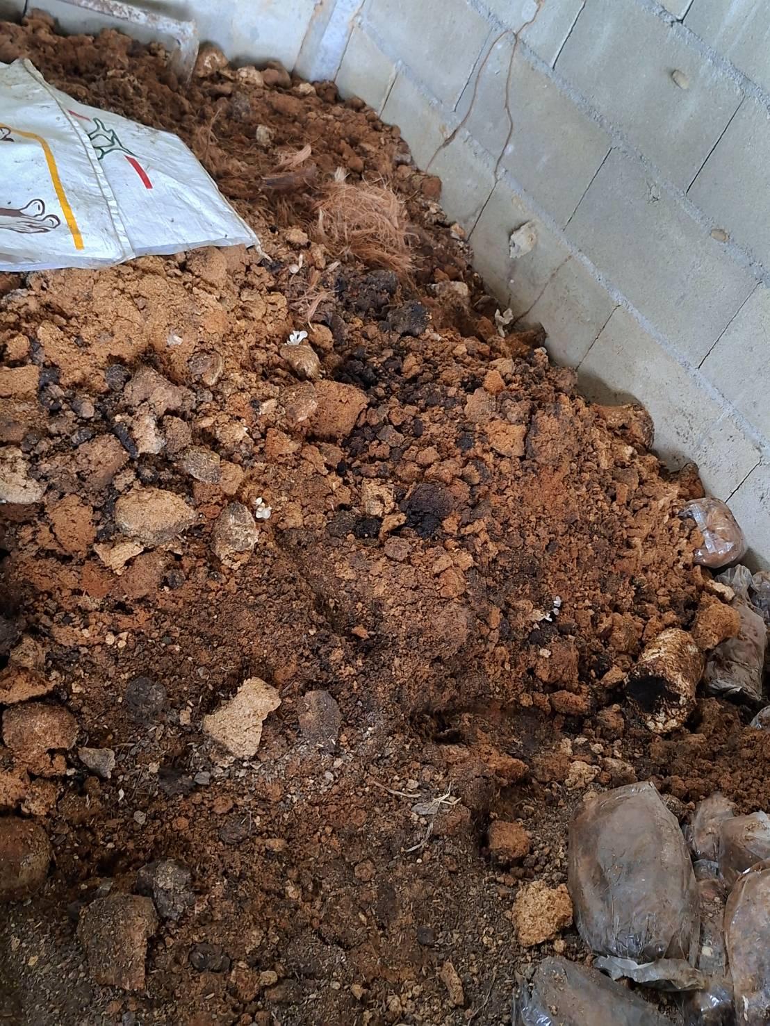 ภาพประกอบที่ 6