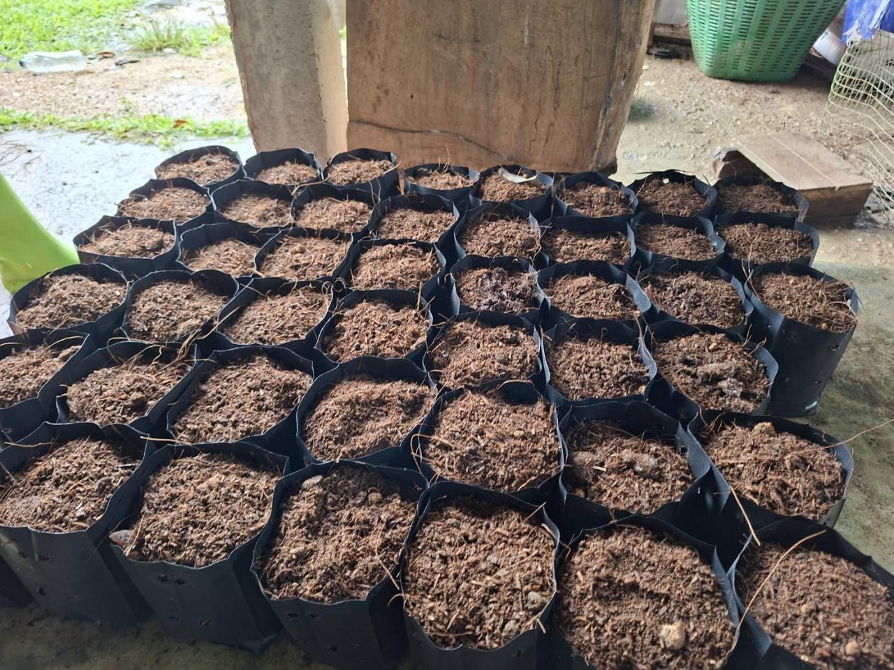 ภาพประกอบที่ 8