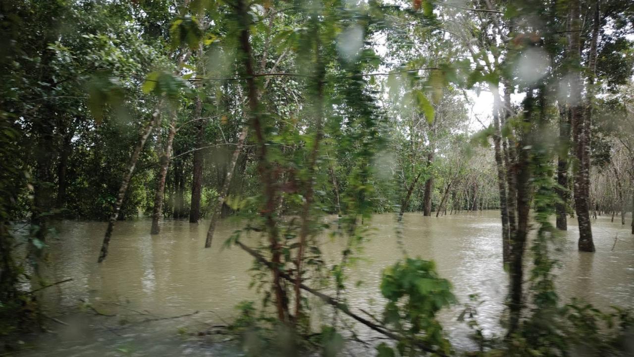 ภาพประกอบที่ 9