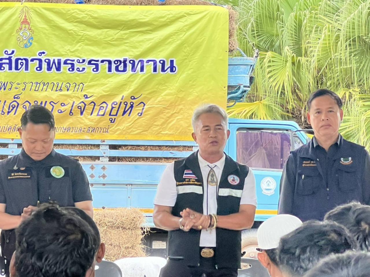 ภาพประกอบที่ 10