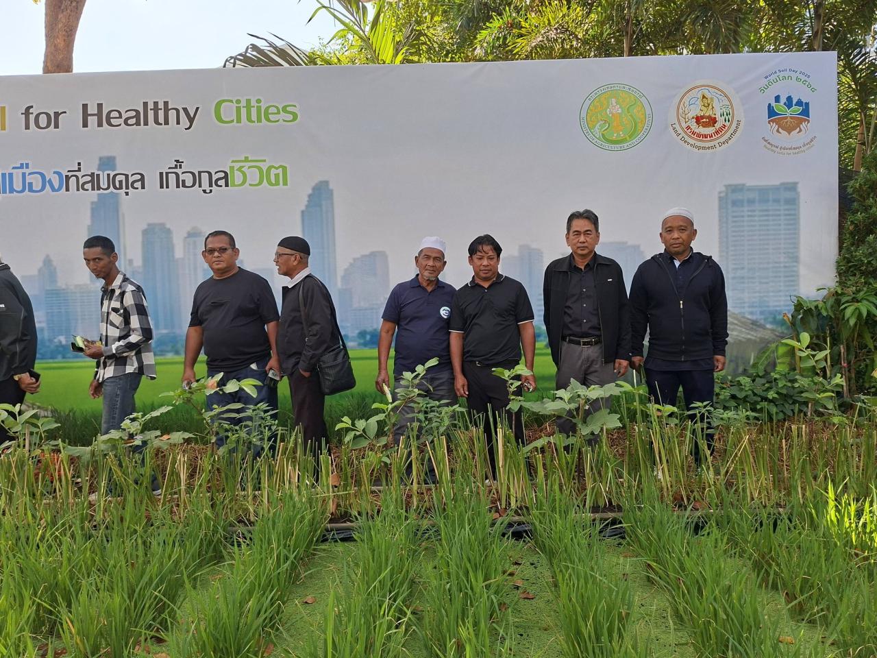 ภาพประกอบที่ 11