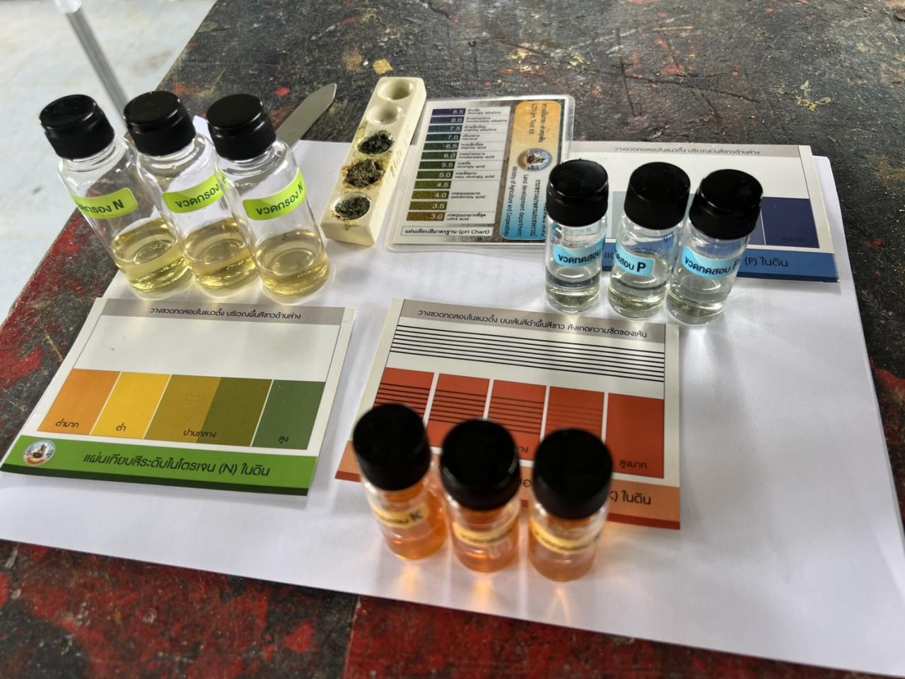 ภาพประกอบที่ 3