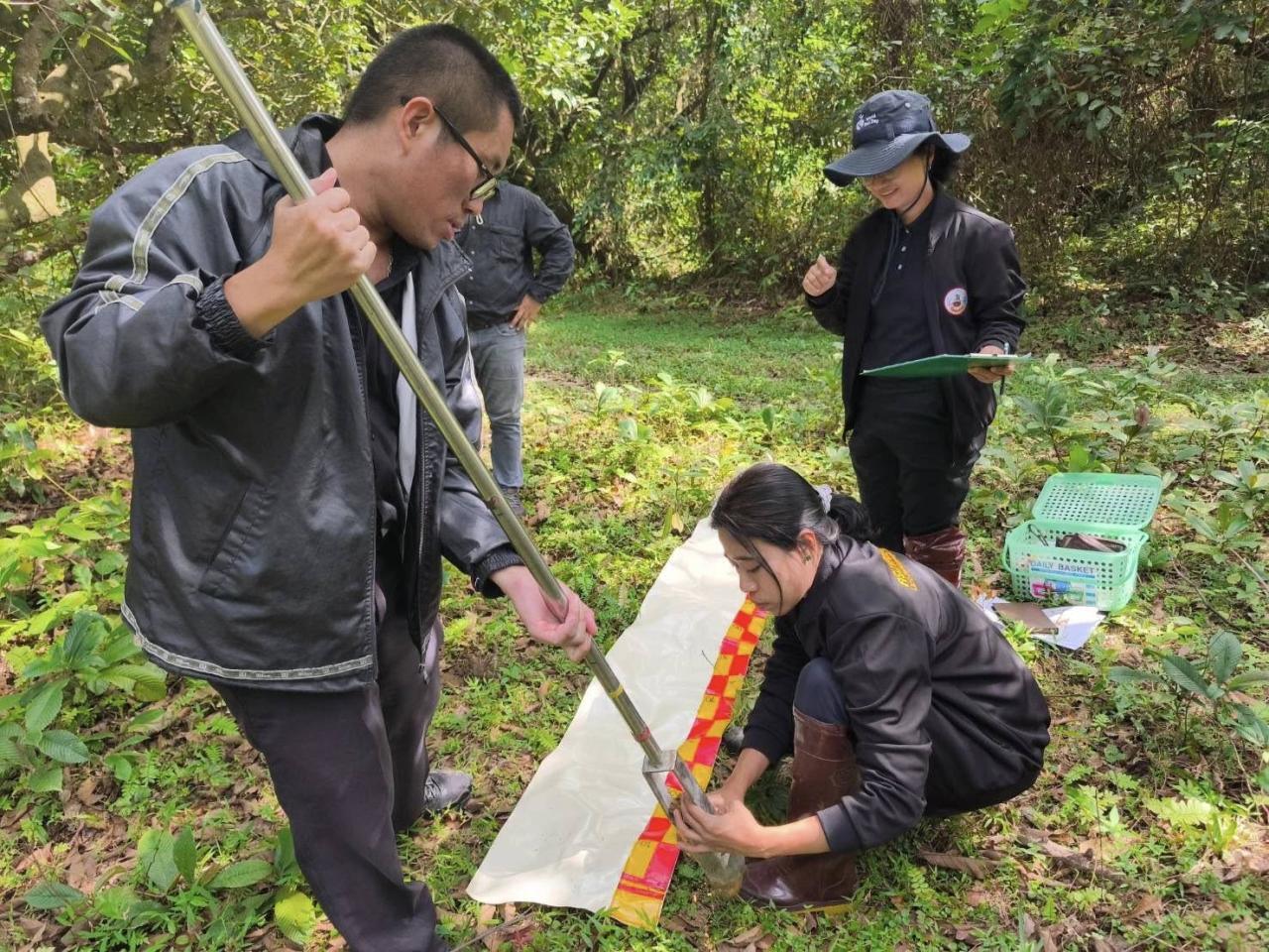 ภาพประกอบที่ 1