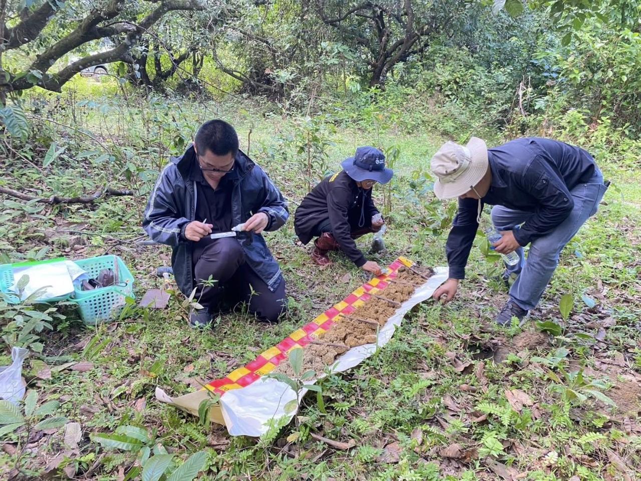 ภาพประกอบที่ 3