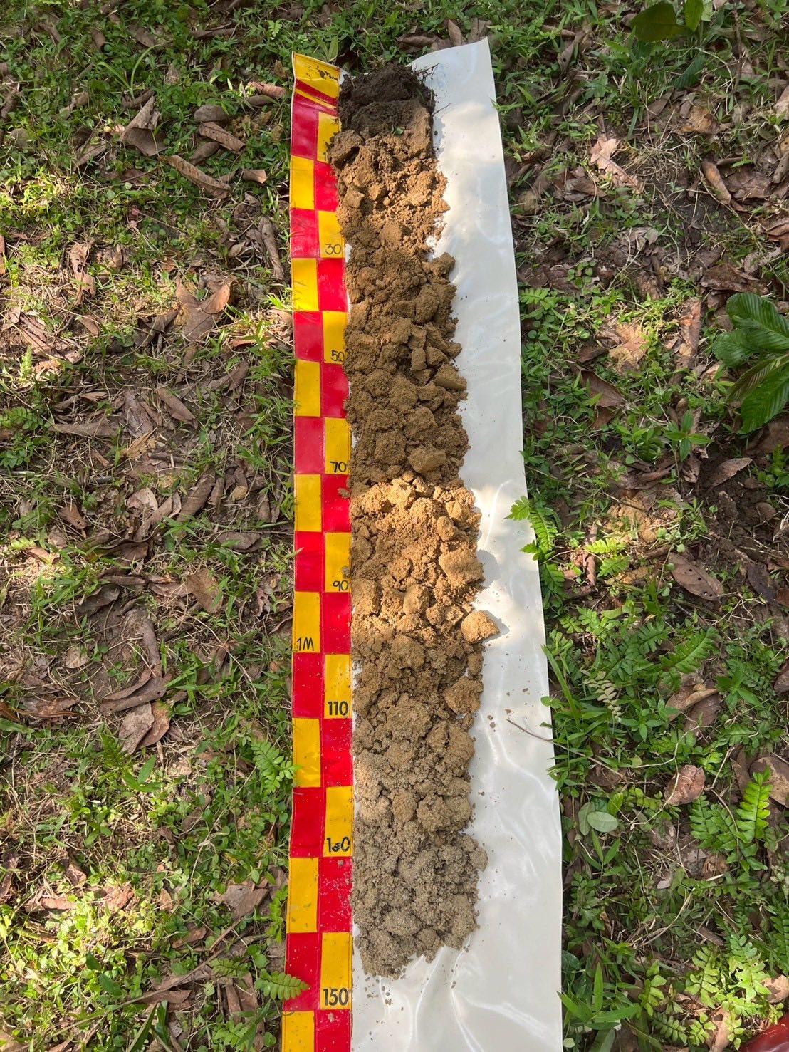 ภาพประกอบที่ 6