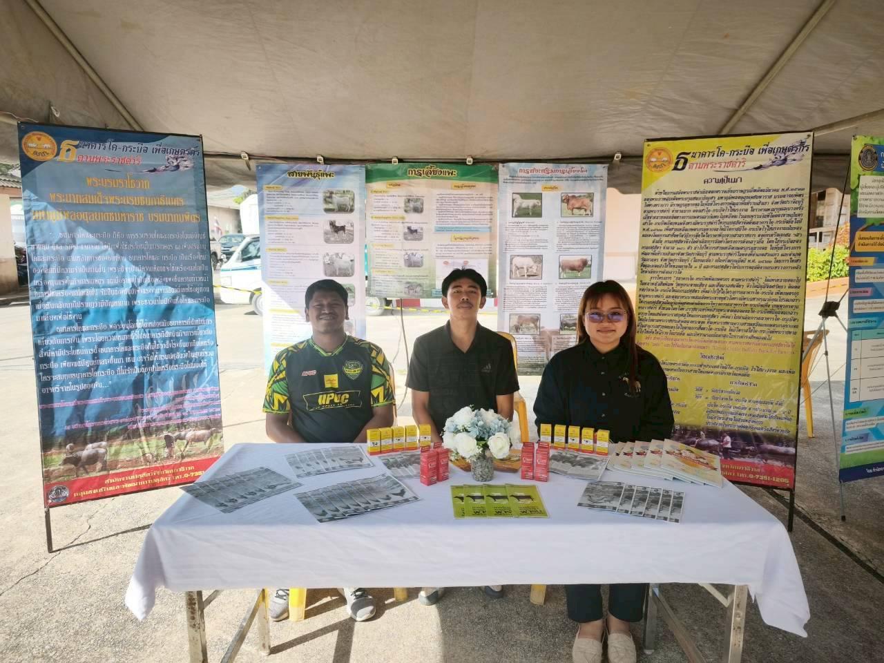 ภาพประกอบที่ 20