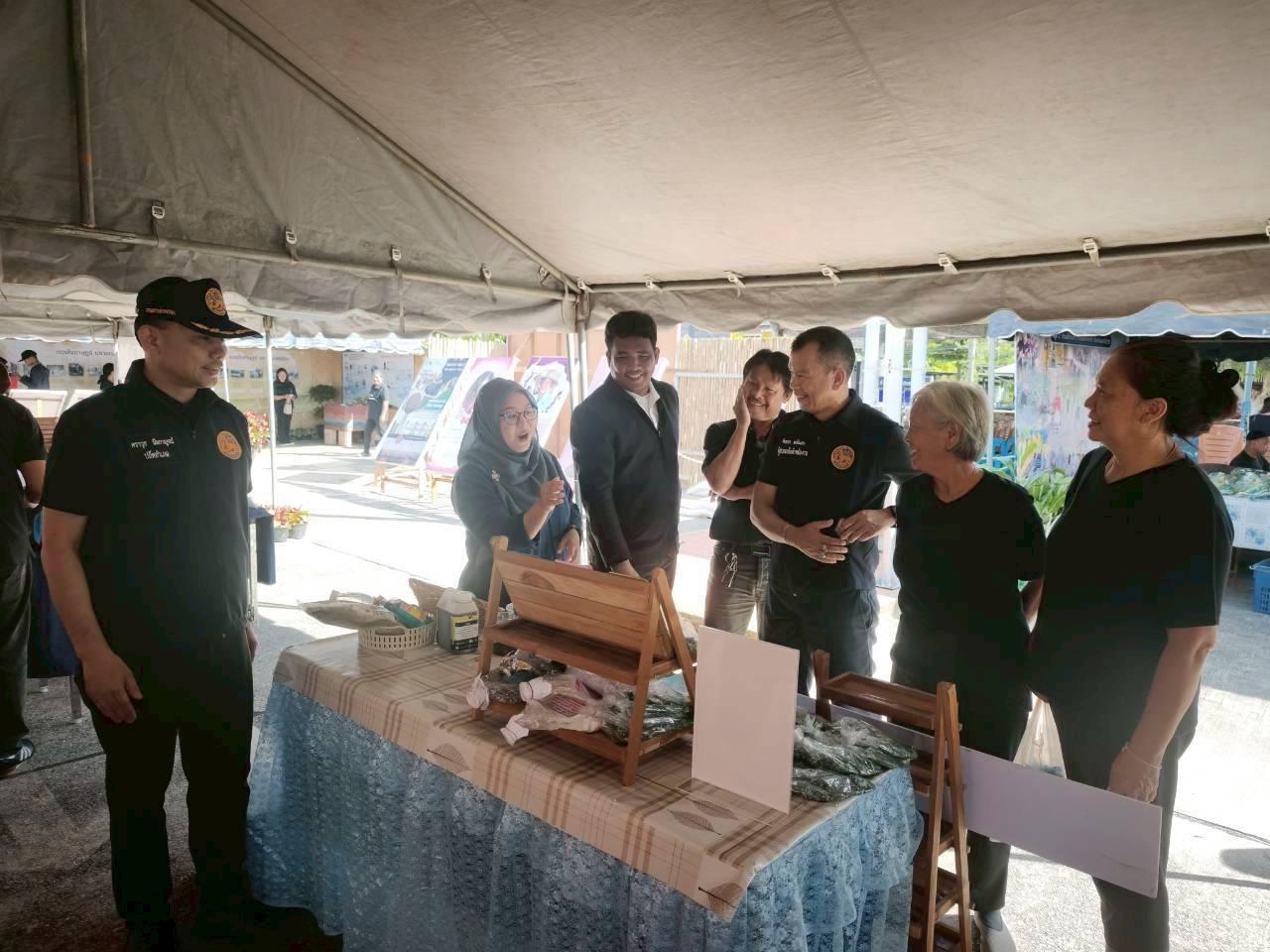 ภาพประกอบที่ 23