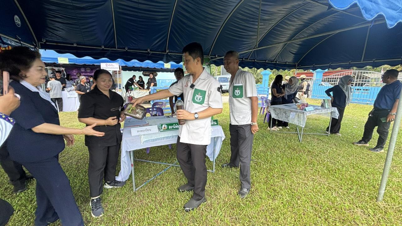 ภาพประกอบที่ 3