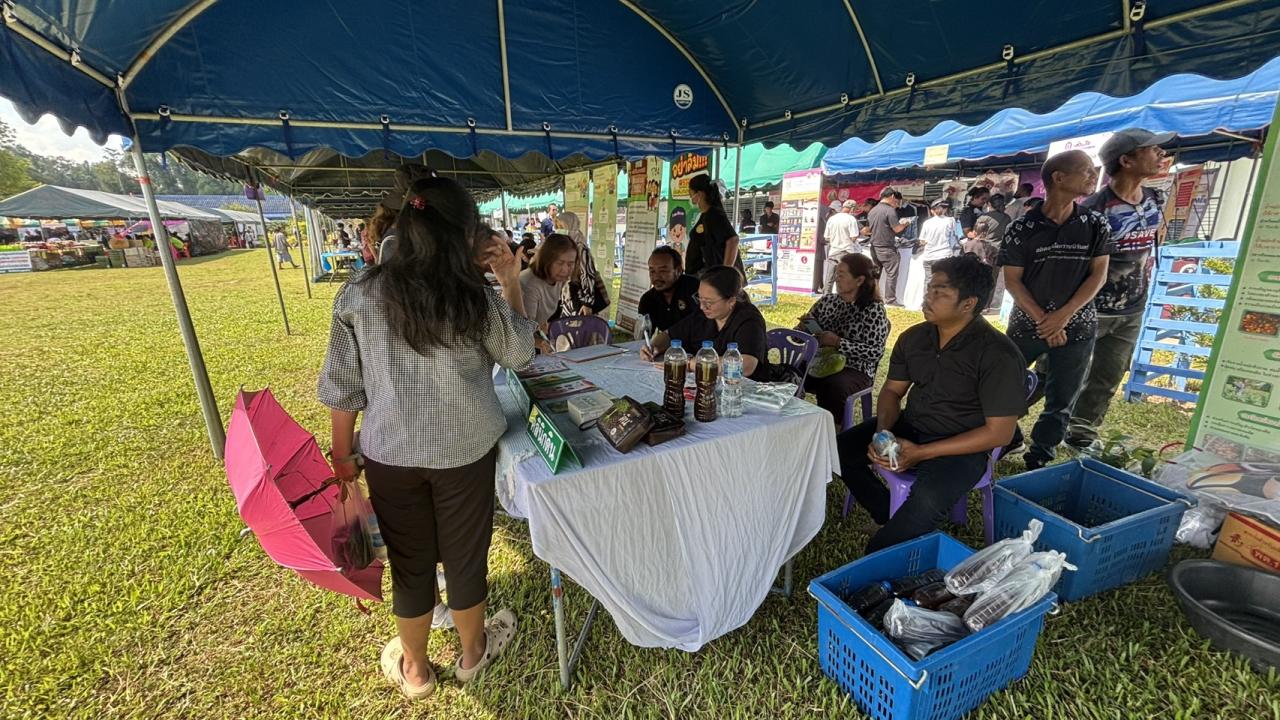 ภาพประกอบที่ 6